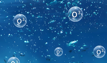 Ozone oxidation